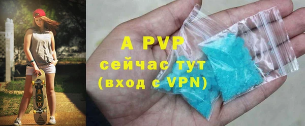 индика Верхний Тагил