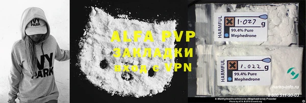 индика Верхний Тагил
