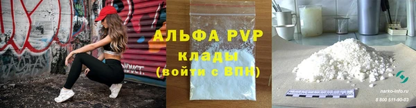 индика Верхний Тагил