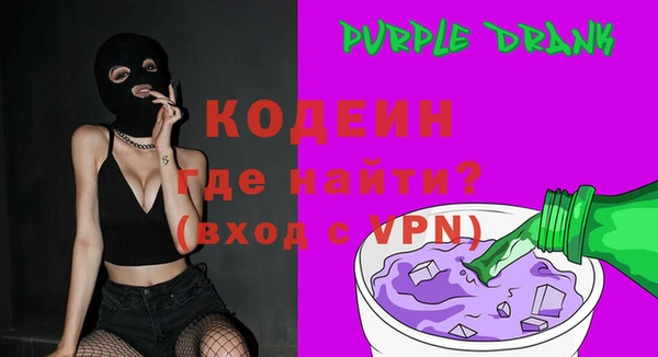 индика Верхний Тагил