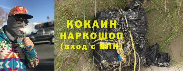 индика Верхний Тагил