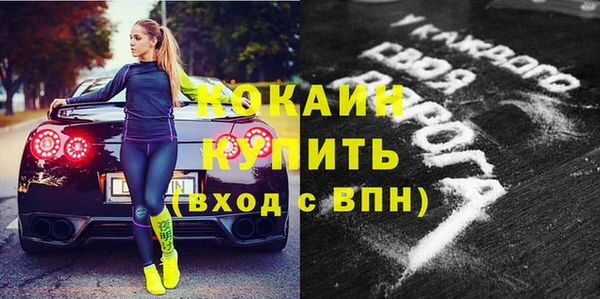 индика Верхний Тагил