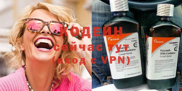 индика Верхний Тагил