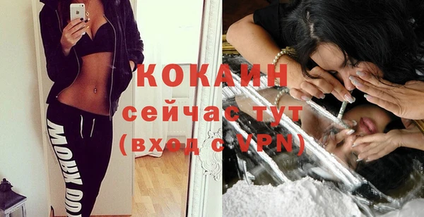 индика Верхний Тагил
