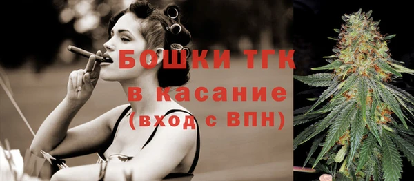 индика Верхний Тагил